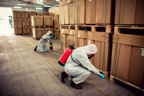 Best Best Pest Control Companies  in Fort Oglethorpe, GA