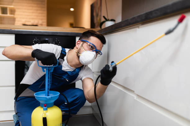 Best Pest Removal Services  in Fort Oglethorpe, GA