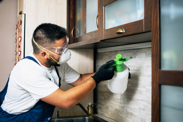 Best Pest Prevention Services  in Fort Oglethorpe, GA