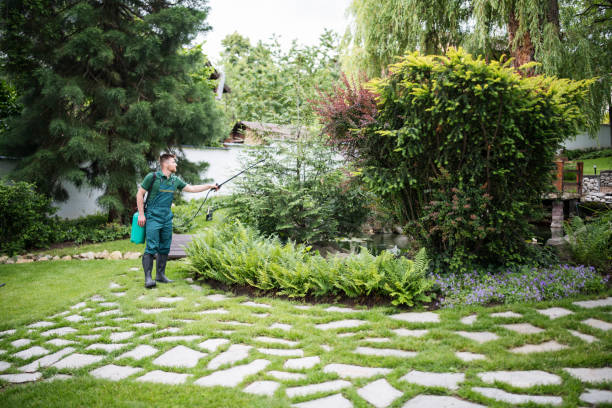Best Exterminator Services  in Fort Oglethorpe, GA