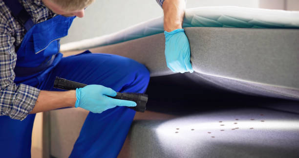 Best Emergency Pest Control  in Fort Oglethorpe, GA