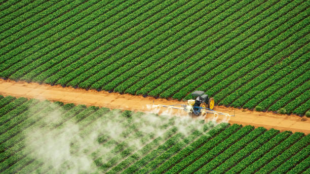 Professional Pest Control in Fort Oglethorpe, GA