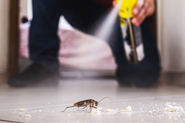 Best Bed Bug Extermination  in Fort Oglethorpe, GA