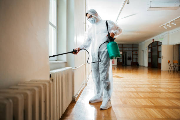Wildlife Control Services in Fort Oglethorpe, GA