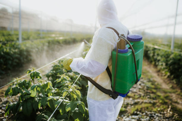  Fort Oglethorpe, GA Pest Control Pros